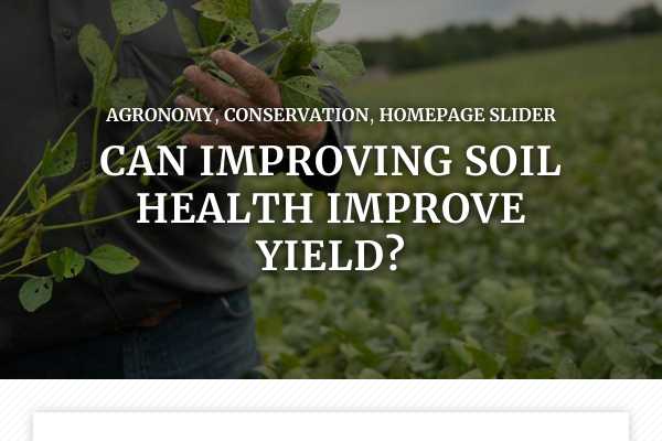 Can improving soil health improve yield?