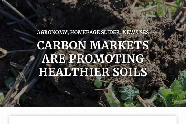 Carbon markets are promoting healthier soils