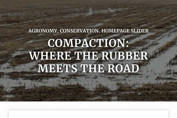 Compaction: where the rubber meets the road