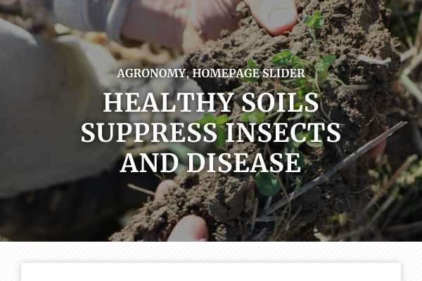Healthy soils suppress insects and disease