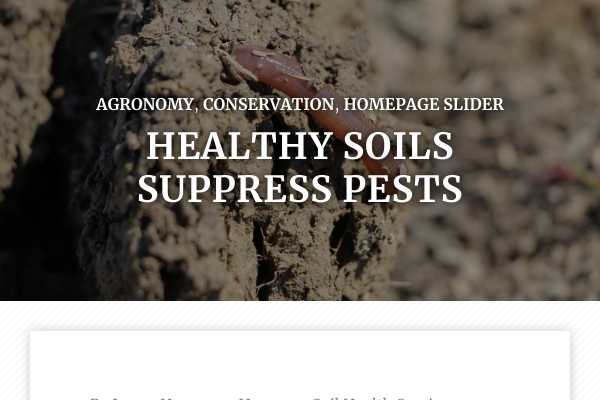 Healthy soils suppress pests