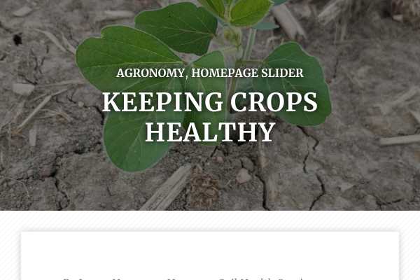 Keeping crops healthy