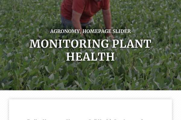 Monitoring plant health