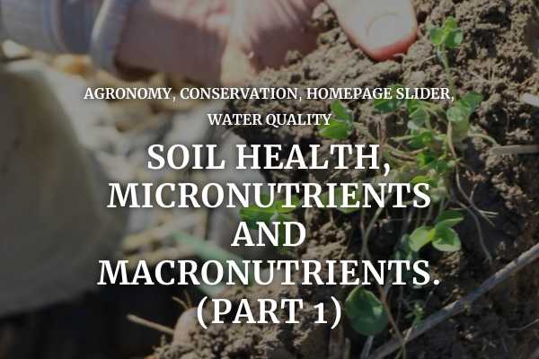 Soil health, micronutrients, and macronutrients (part 1)
