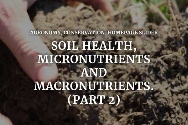 Soil health, micronutrients, and macronutrients (part 2)