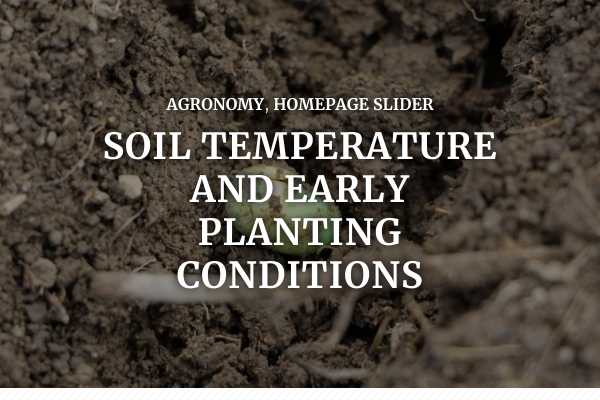 Soil temperature and early planting conditions
