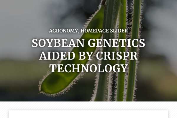 Soybean genetics aided by CRISPR technology