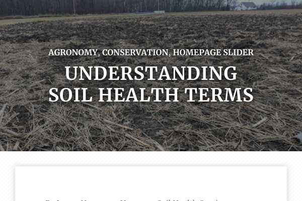 Understanding soil health terms