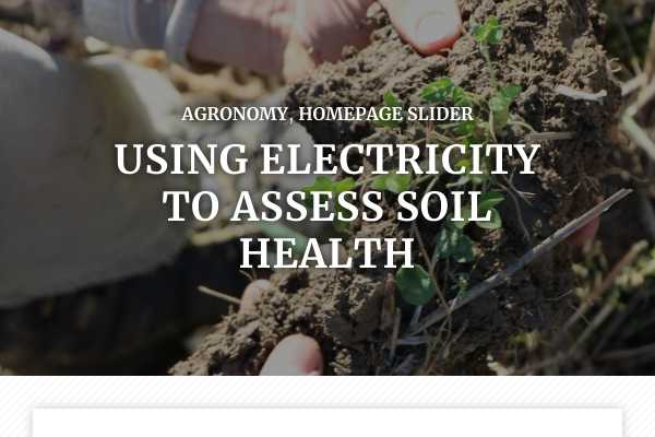 Using electricity to assess soil health