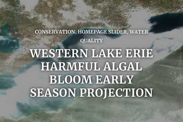 Western Lake Erie harmful algal bloom early season projection