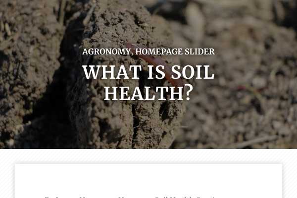 What is soil health?