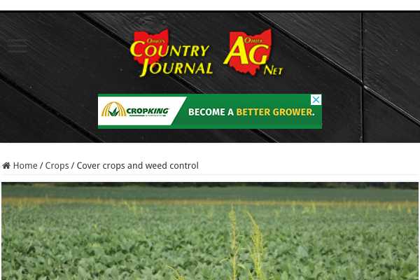 Cover crops and weed control